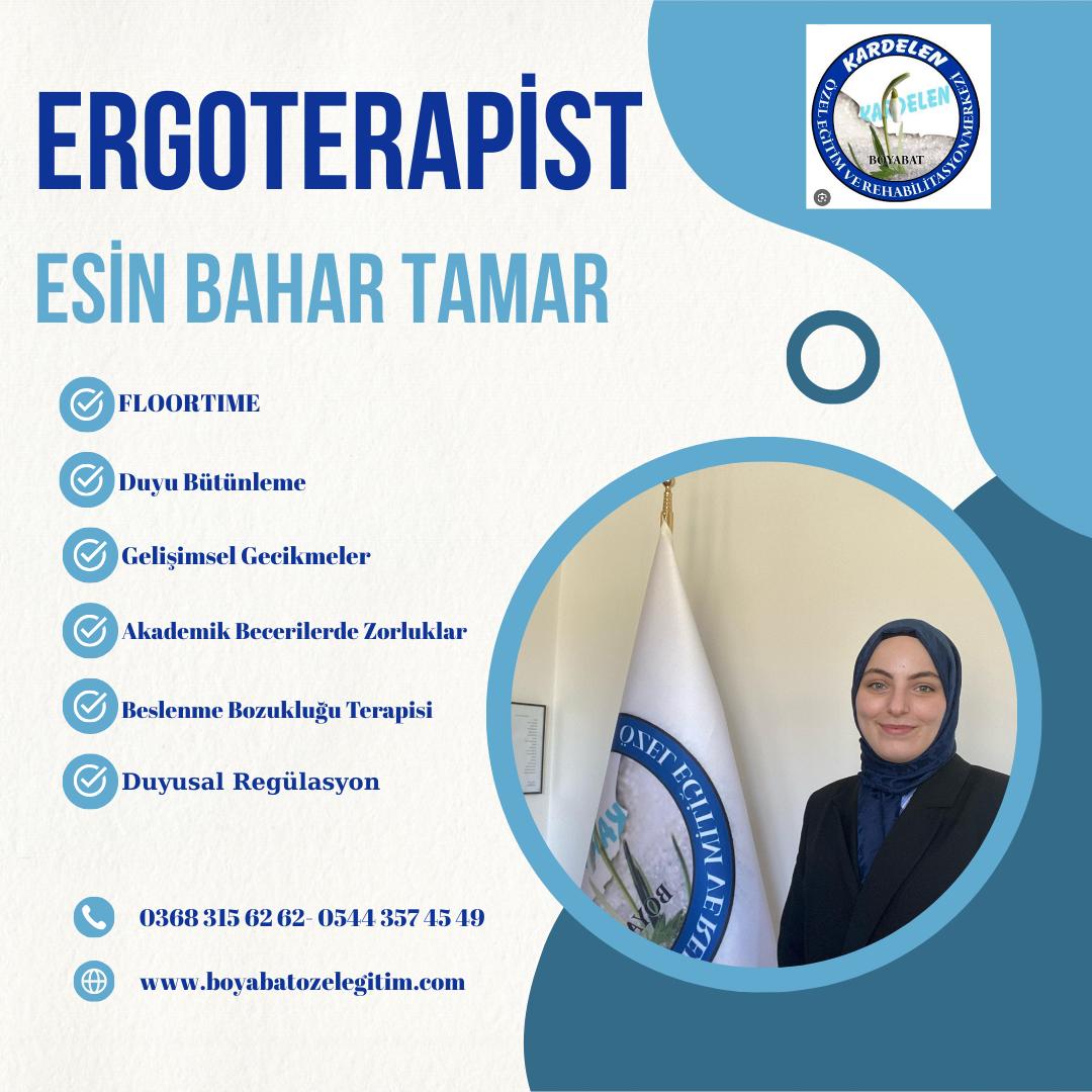 Ergoterapi